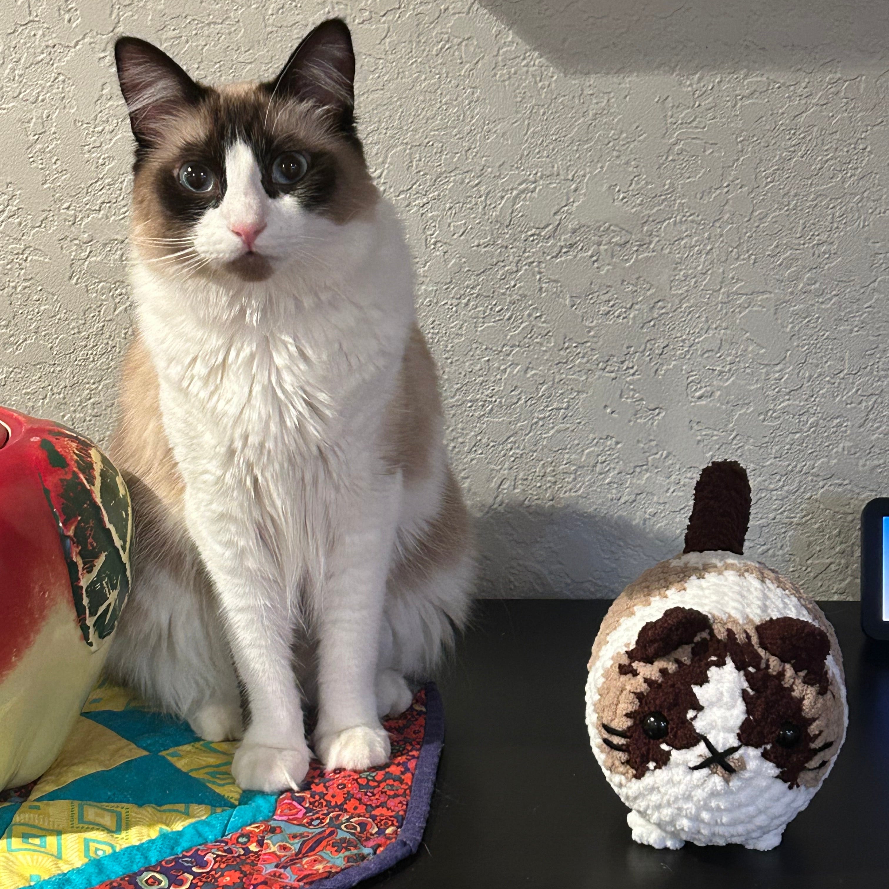 Bizzle Buddies Custom Cat Crochet Plushie